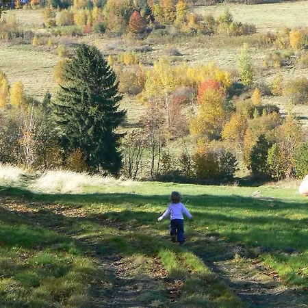 别墅 Art Przecznica